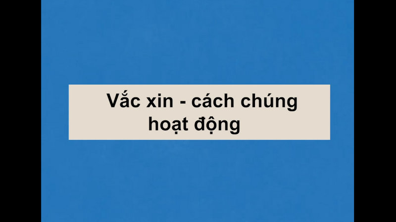 [Video] Vắc xin COVID -19 hoạt động như thế nào?